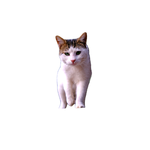 A Street Cat Walks Confidently In An Urban Setting, Showcasing İZmir'S Charm. 12736 - Cat PNG image with transparent background